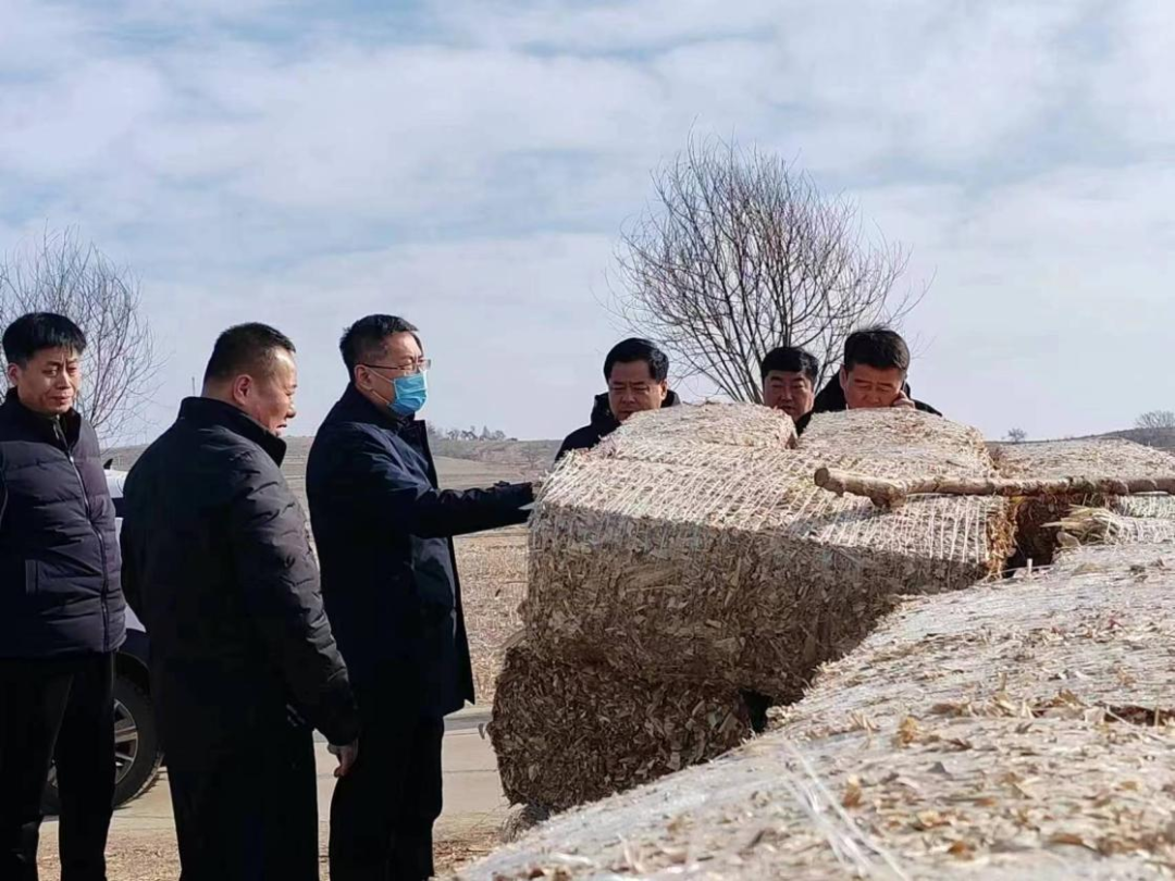 微信图片_20230303095309.png